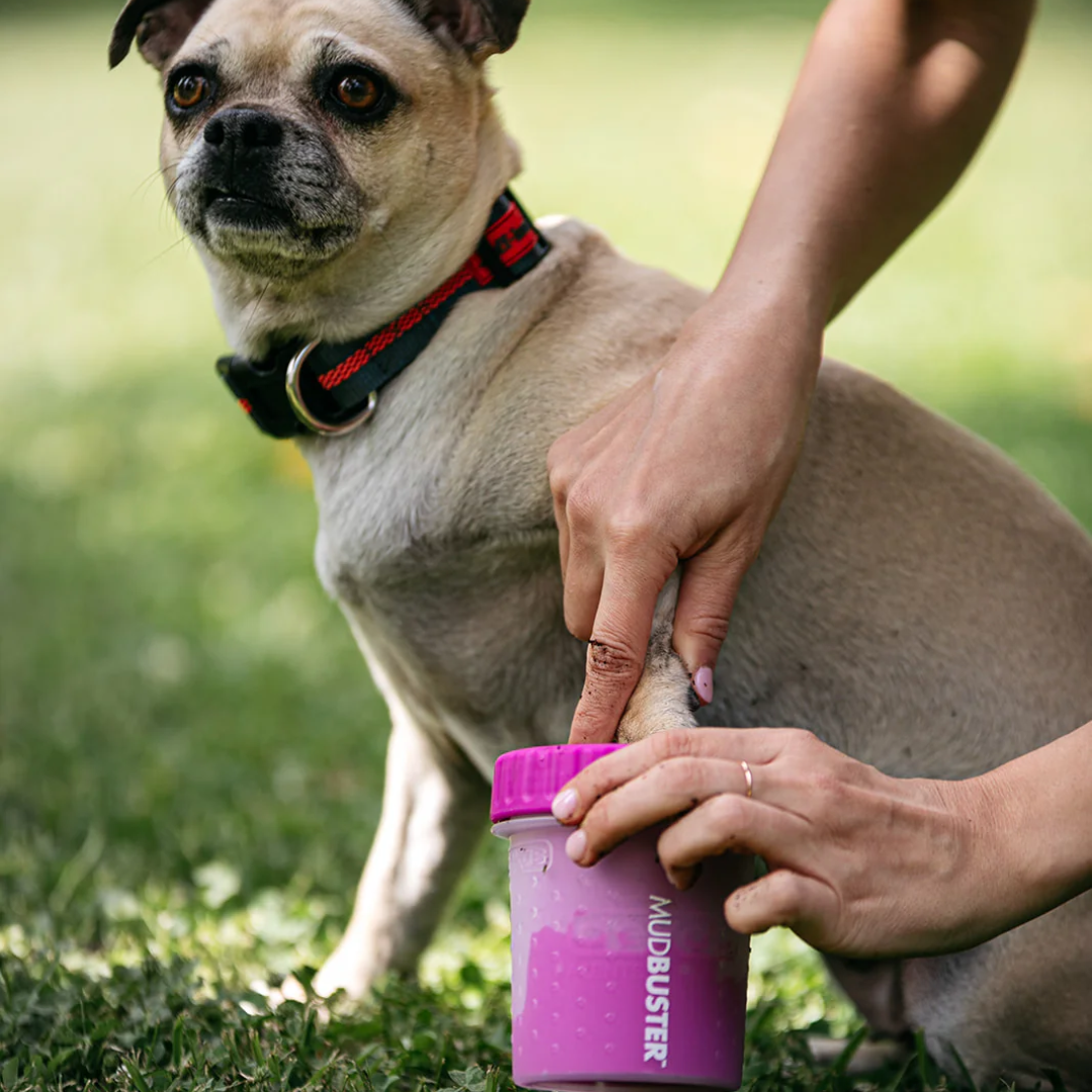MudBuster® - Portable Dog Paw Cleaner - Small