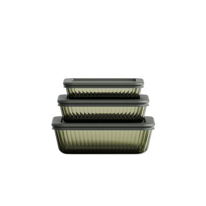 Tinted Rectangular Container Set of 3
