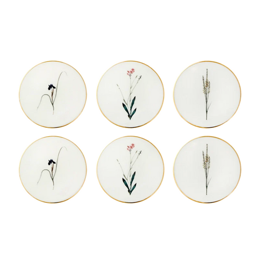 Botanical 6 Piece Coaster Set