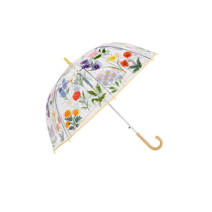 Garden Study Clear Umbrella