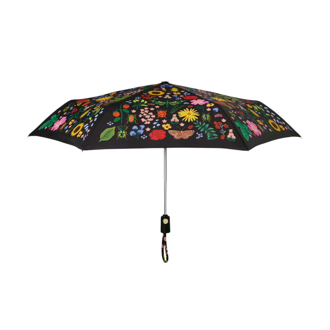 Curio Umbrella