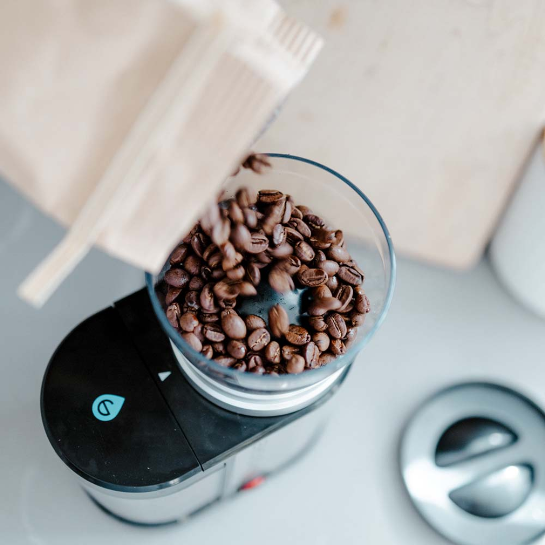 BREMEN BURR Electric Burr Coffee Grinder