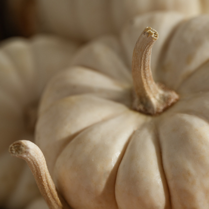 White Pumpkin - Smart Vial