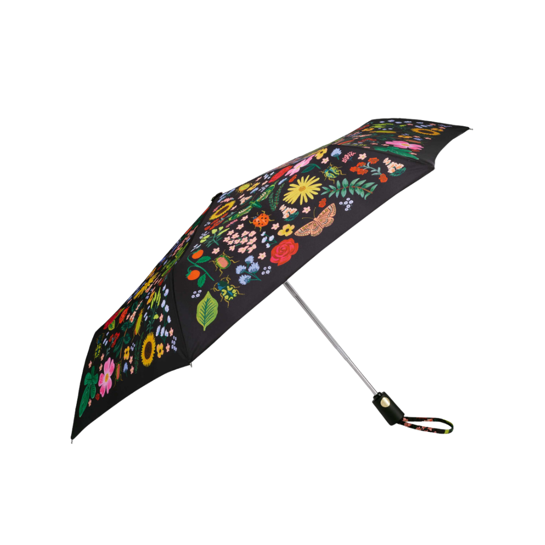 Curio Umbrella