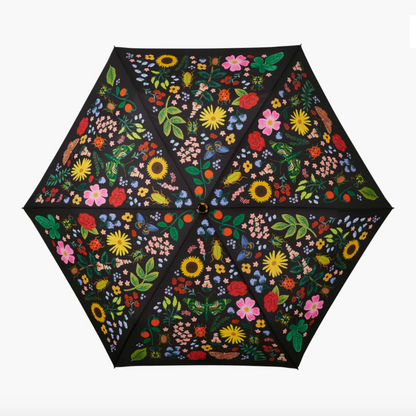 Curio Umbrella