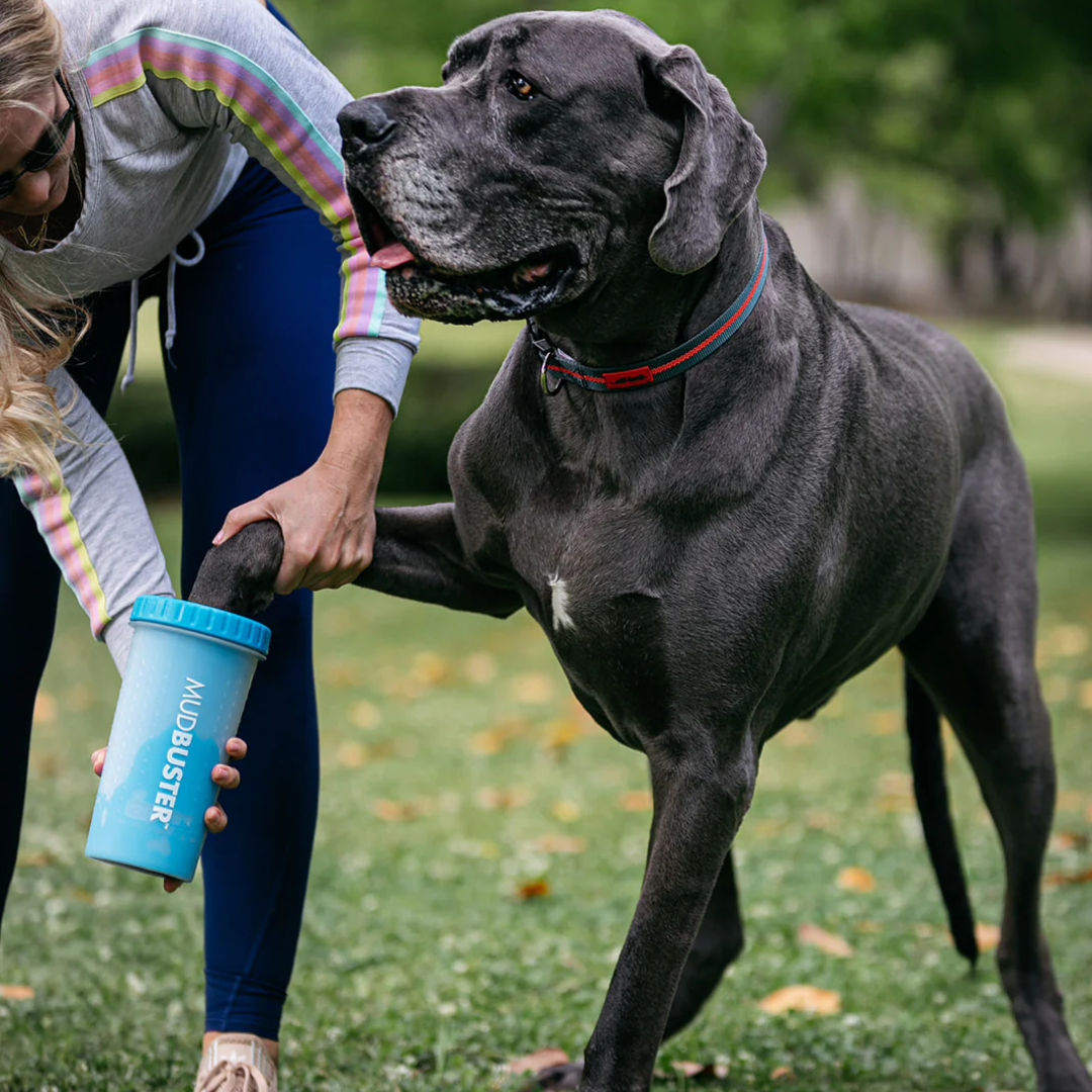 MudBuster® - Portable Dog Paw Cleaner - Medium