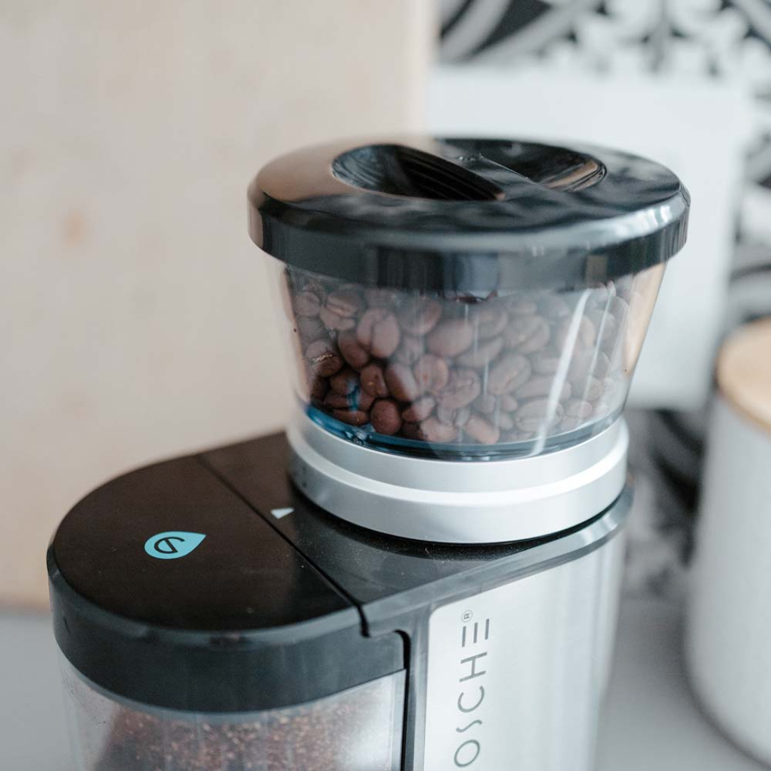 BREMEN BURR Electric Burr Coffee Grinder