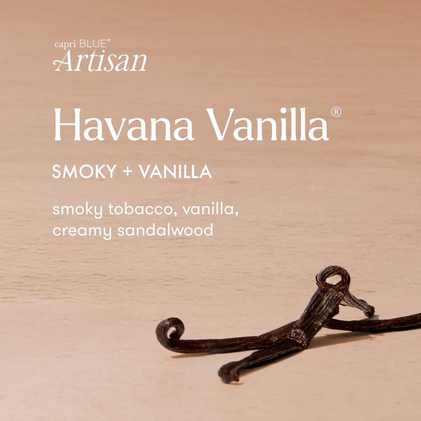Havana Vanilla Artisan Caffe Signature Candle - 19 oz.
