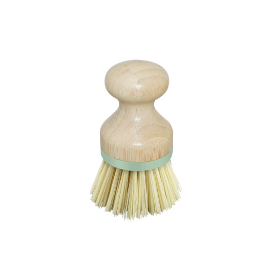 Bamboo Palm Dish Brush