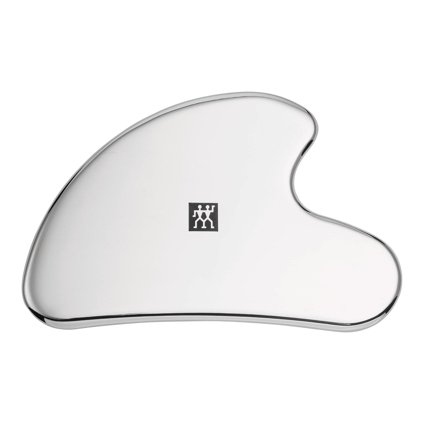 Facial Massager, Stainless Steel