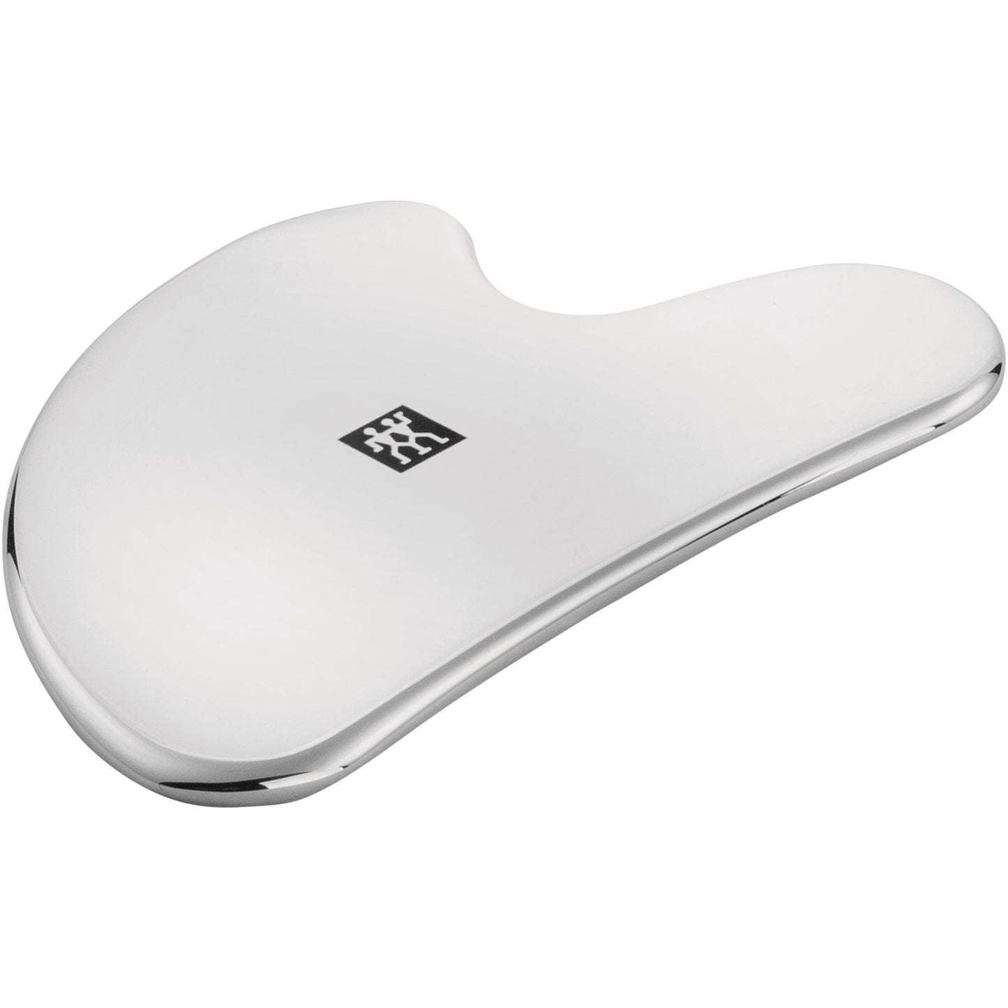 Facial Massager, Stainless Steel