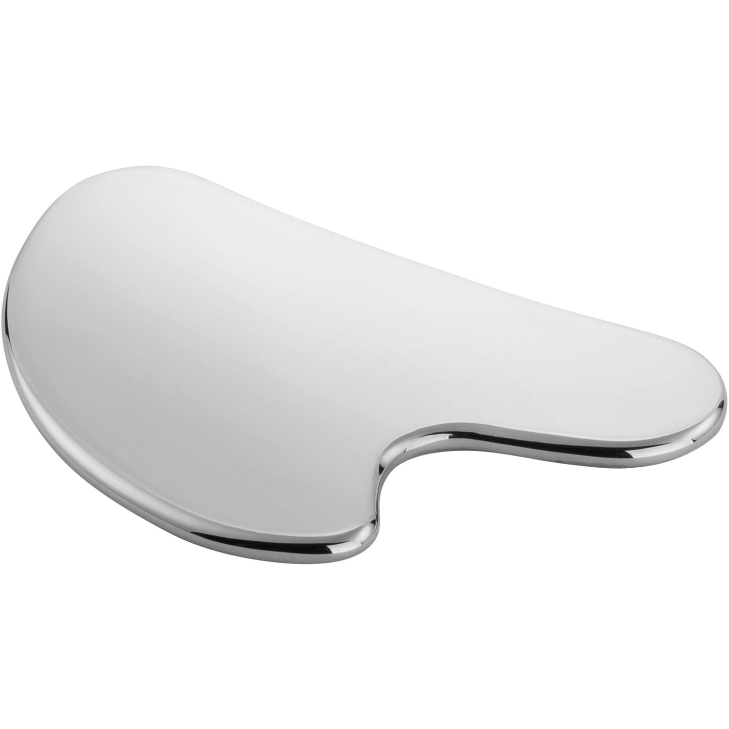 Facial Massager, Stainless Steel