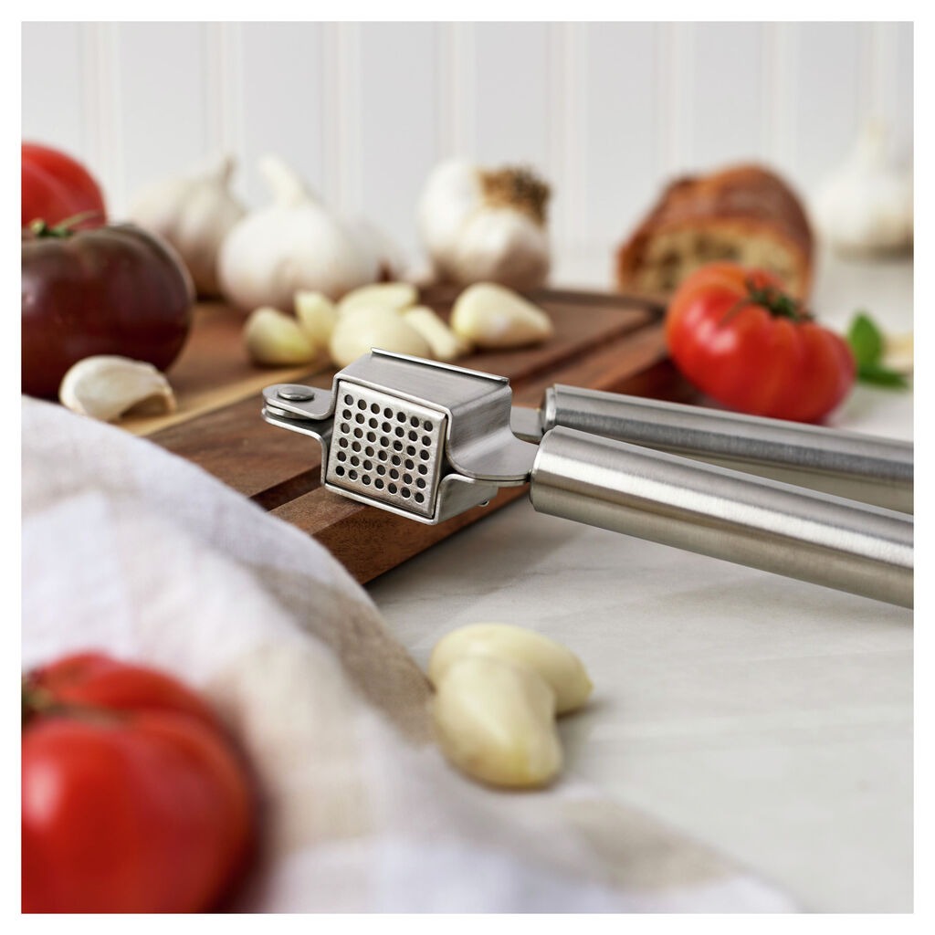 Stainless Steel Garlic Press