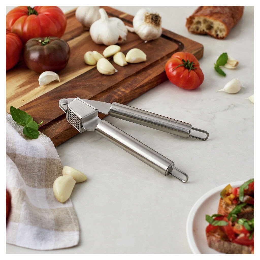 Stainless Steel Garlic Press