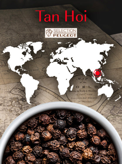 Tan Hoi - 20g Sachet of Vietnamese Black Pepper